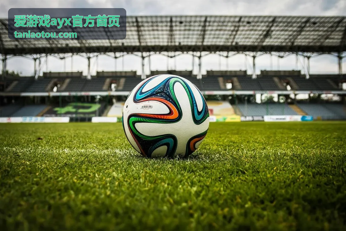 爱游戏ayx官方首页新手准备事项配图