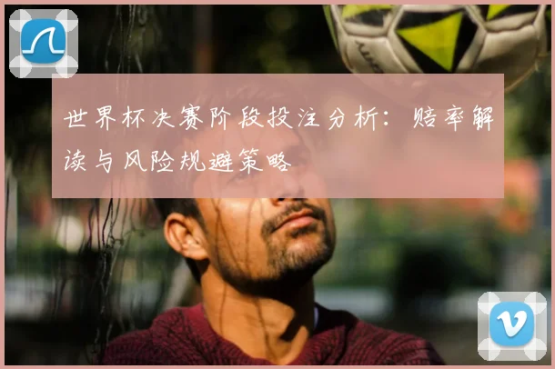 世界杯决赛阶段投注分析：赔率解读与风险规避策略